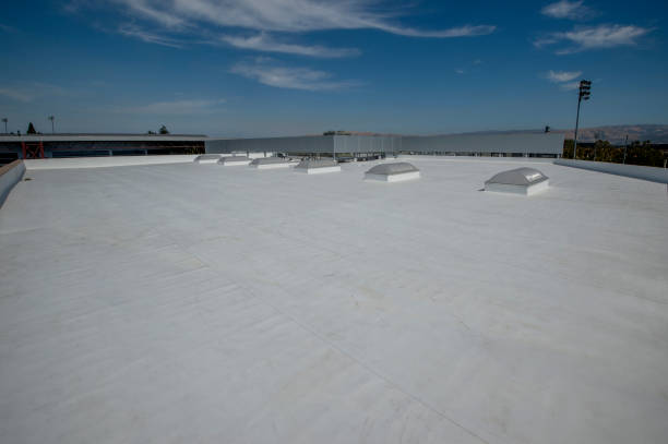 Best Roof Coating and Sealing  in Carbondale, IL