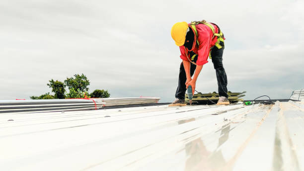 Best Solar Panel Roofing Installation  in Carbondale, IL
