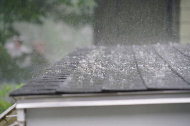 Best Roof Moss and Algae Removal  in Carbondale, IL